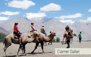 Ladakh Great Deal Package