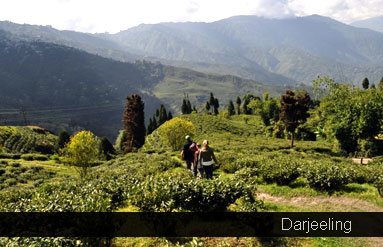 Darjeeling Adventure Tour