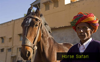 Rajasthan Horse Safari Trip
