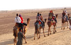 Incredible Rajasthan Tour Packages