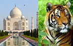 Fort and Places tour India