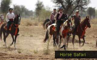 Rajasthan Horse Safari Tours