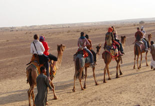 Glimpses of Rajasthan Tour